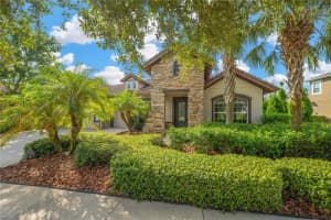 6008 WATERCOLOR DRIVE, LITHIA, FL 33547 - MLS#MFRTB8442666
