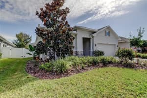 2790 SATILLA LOOP, ODESSA, FL 33556 - MLS#MFRTB8442693