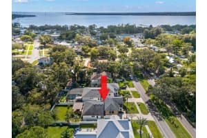 503 PARK BOULEVARD, OLDSMAR, FL 34677 - MLS#MFRTB8442705