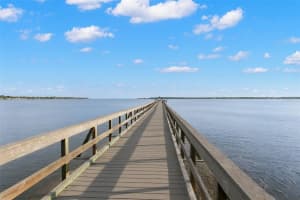 503 PARK BOULEVARD, OLDSMAR, FL 34677 - MLS#MFRTB8442705