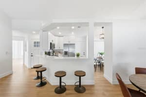 12717 DUNHILL DRIVE, TAMPA, FL 33624 - MLS#MFRTB8442750