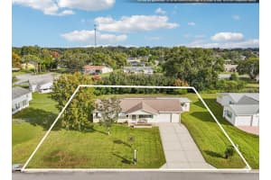 10339 179TH STREET, SUMMERFIELD, FL 34491 - MLS#MFRTB8442771