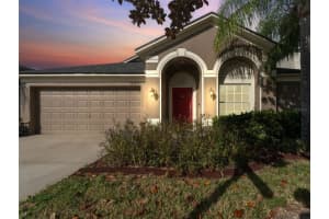 12303 HOLMWOOD GREENS PLACE, RIVERVIEW, FL 33579 - MLS#MFRTB8442784