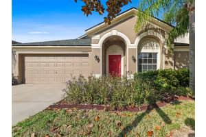 12303 HOLMWOOD GREENS PLACE, RIVERVIEW, FL 33579 - MLS#MFRTB8442784