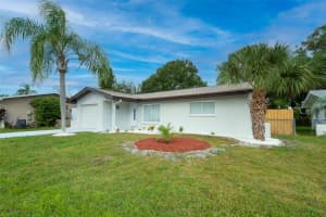 1806 FOREST DRIVE, OLDSMAR, FL 34677 - MLS#MFRTB8442794