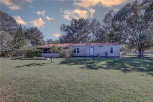 6230 BOB HEAD ROAD, PLANT CITY, FL 33565 - MLS#MFRTB8442796