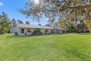 17504 THOMAS BOULEVARD, HUDSON, FL 34667 - MLS#MFRTB8442805