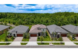 10367 BANYAN BREEZE BOULEVARD, LAND O LAKES, FL 34638 - MLS#MFRTB8442806
