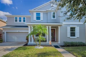 6942 ROCKY CANYON WAY, TAMPA, FL 33625 - MLS#MFRTB8442831