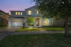 6942 ROCKY CANYON WAY, TAMPA, FL 33625 - MLS#MFRTB8442831