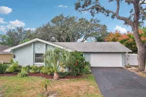 1118 Carlton Rd, TARPON SPRINGS