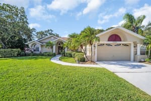 1551 MCAULIFFE LANE, PALM HARBOR, FL 34683 - MLS#MFRTB8442850