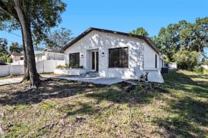 8520 BRANCH AVENUE, TAMPA, FL 33604 - MLS#MFRTB8442866