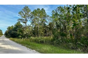 SW 89TH ST, DUNNELLON, FL 34432 Sold 12/09/25
