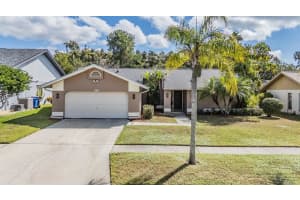 8628 CHADWICK DRIVE, TAMPA, FL 33635 - MLS#MFRTB8442917
