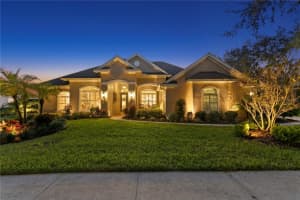 15817 SORAWATER DRIVE, LITHIA, FL 33547 - MLS#MFRTB8442932