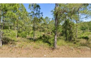 1402 EDISON AVENUE, LEHIGH ACRES, FL 33972 Sold 01/08/26