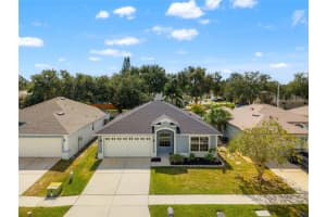 11033 Whittney Chase Dr, RIVERVIEW