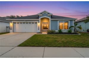 11033 WHITTNEY CHASE DRIVE, RIVERVIEW, FL 33579 - MLS#MFRTB8442947