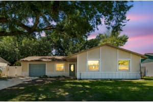 4028 TRUMAN DRIVE, SEFFNER, FL 33584 - MLS#MFRTB8442948