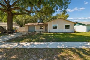 4028 TRUMAN DRIVE, SEFFNER, FL 33584 - MLS#MFRTB8442948