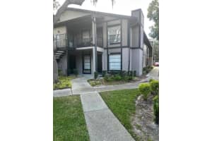 4024 Dream Oak Pl #103, TAMPA