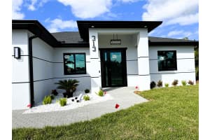 313 31ST TERRACE, CAPE CORAL, FL 33904 - MLS#MFRTB8442993