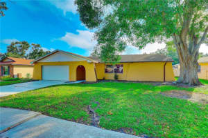 2977 Palmetto Ct, DUNEDIN