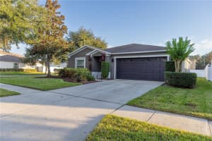 30930 TEMPLE STAND AVENUE, WESLEY CHAPEL, FL 33543 - MLS#MFRTB8443014