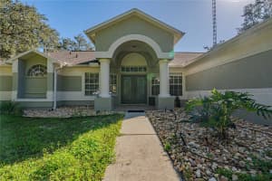 14214 CINNAMAN LANE, WEEKI WACHEE, FL 34614 - MLS#MFRTB8443026