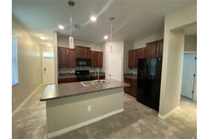 21036 WISTFUL YEARN DRIVE, LAND O LAKES, FL 34637 - MLS#MFRTB8443028