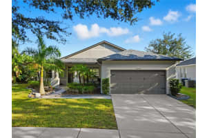 10916 Holly Cone Dr, RIVERVIEW 10916 Holly Cone Dr, RIVERVIEW