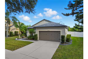 10916 HOLLY CONE DRIVE, RIVERVIEW, FL 33569 - MLS#MFRTB8443038