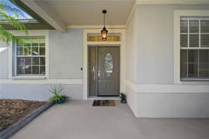 10916 HOLLY CONE DRIVE, RIVERVIEW, FL 33569 - MLS#MFRTB8443038