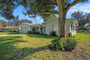 1585 PEACEFUL LANE, CLEARWATER, FL 33756 - MLS#MFRTB8443088