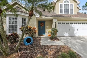 14534 NETTLE CREEK ROAD, TAMPA, FL 33624 - MLS#MFRTB8443115