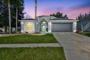 4423 HORSESHOE PICK LANE, VALRICO, FL 33594 - MLS#MFRTB8443130