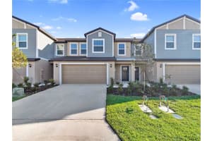 8617 SALTY SANDS STREET, PARRISH, FL 34219 - MLS#MFRTB8443155