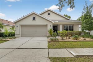 424 DOWN PINE DRIVE, SEFFNER, FL 33584 - MLS#MFRTB8443165