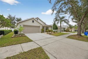 424 DOWN PINE DRIVE, SEFFNER, FL 33584 - MLS#MFRTB8443165