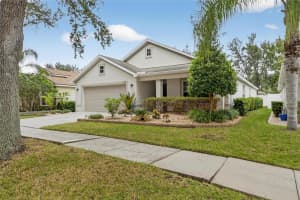 424 DOWN PINE DRIVE, SEFFNER, FL 33584 - MLS#MFRTB8443165