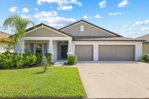 190 RAIN BERRY AVENUE, RUSKIN, FL 33570 - MLS#MFRTB8443207