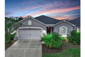 12905 Satin Lily Dr, RIVERVIEW
