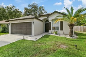 9733 LONG MEADOW DRIVE, TAMPA, FL 33615 - MLS#MFRTB8443243