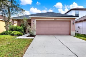 20118 Bay Cedar Ave, TAMPA