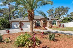 3206 ENISGROVE DRIVE, PALM HARBOR, FL 34683 Sold 12/18/25