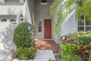 19303 WATER MAPLE DRIVE, TAMPA, FL 33647 - MLS#MFRTB8443253
