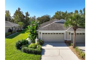 15731 PHOEBEPARK AVENUE, LITHIA, FL 33547 - MLS#MFRTB8443304