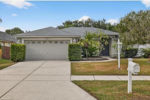 24833 Laurel Ridge Dr, LUTZ