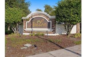 675 ARGYLL DRIVE, SPRING HILL, FL 34609 - MLS#MFRTB8443355